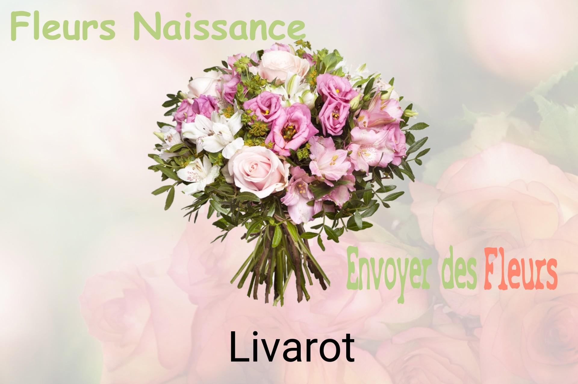 Bouquet de fleurs de naissance livré à Livarot